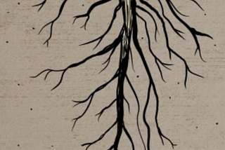 A Tool for the Heart: Creating Your Taproot