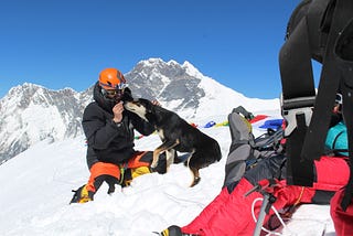 Stray Dog Climbs 23,000' Mountain