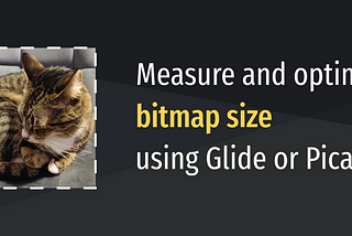 Measure and optimize bitmap size using Glide or Picasso