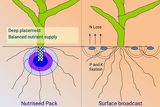 NUTRI-SEED TECHNOLOGY