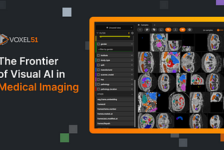The Frontier of Visual AI in Medical Imaging
