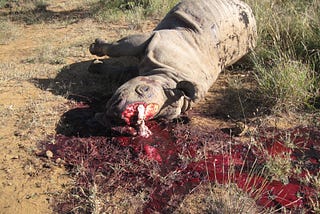 Rhinos and their horns are no match against Human Greed. But, we aim to change that.