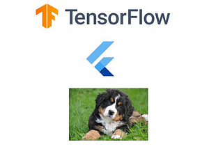 Dog Breed Identification App with Flutter and tflite in 10 mins.