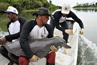 The Amazon River: In our hands