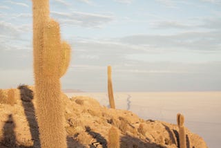 Encontro com o deserto