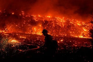 Wildfires and the World
