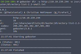 TryHackMe CTF (ToolsRus)