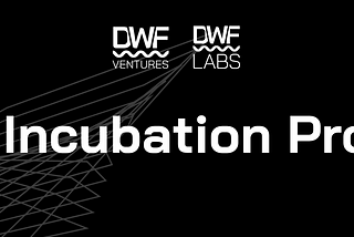 DWF Labs Incubation Program