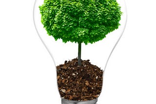 Sustainable Marketing: No Longer a Buzzword