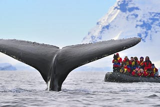 Embarking on an Unforgettable Adventure: Exploring the Mysteries of Antarctica