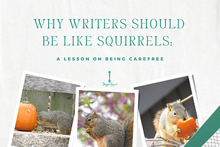 Why Writers Should Be Like Squirrels: A Lesson on Being Carefree