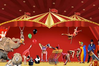 Welcome to the CIRCUS of life…