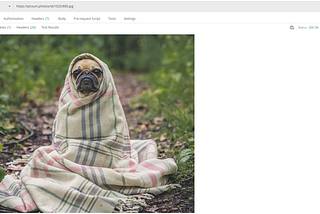 Intro to REST APIs