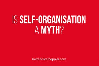 The image displays the article title: Is Self-Organisation a Myth?