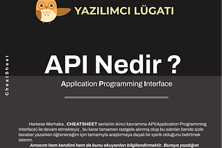 API (Application Programming Interface) Nedir ?