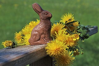 chocolate bunny with yellow dandelions