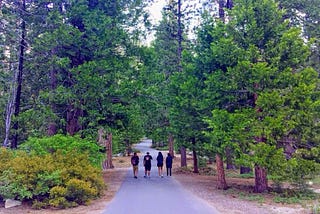 A walk in a state park with some good old friends. Photo: Ashwin Naidu, 2016.