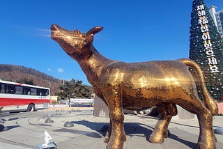 The Significance of the Year of the Ox and Korean Zodiac