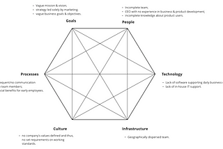 Business Change and Socio-Technical Systems Thinking in Tech Startup