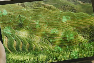 Five Insights to understand the future of agriculture in China