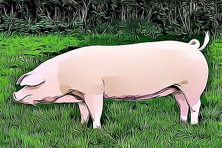 Crackling