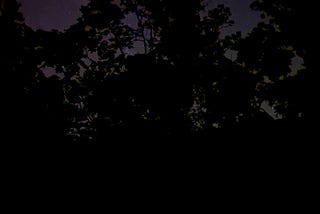 I’ve looked at the stars with a lot of different people