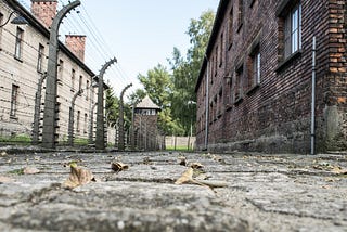 5 documentários para entender melhor o nazismo — por Rafael Libman