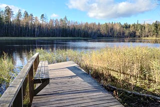 A Soul Mirror in the Finnish Forest