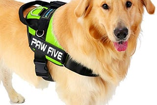 Design features of an easy walk and the best dog harness