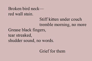 Elegy for the Black Bird