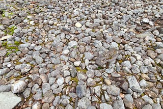 the central part of a Kilmartin Glen (Scotland) stone circle