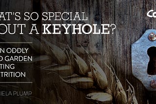 What’s So Special about a Keyhole?