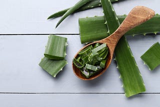 Whole Aloe Vera leaves and chopped up pieces of some of it in a spoon.