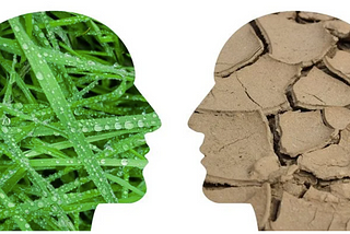 Fighting Climate Apathy and Denial: Insights from Social Psychology