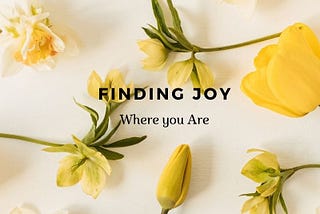 Finding Joy Where You Are