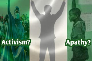 Politics in Nigeria: Activism or Aparthy?