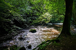 The woods are lovely, dark, and deep