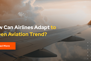 Go Green or Stay Grounded: How Can Airlines Adapt Sustainability?