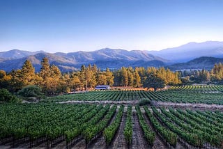 We need to save small wineries, NOW!