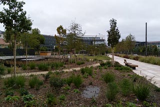 Le « jardin fertile » de Montrouge en terrain miné