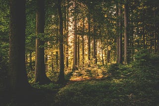 Delusional Yet Creative Beings Searching for Meaning on the Path to Disaster