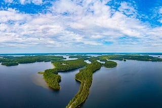 How Business Can Regenerate Nature: A Case Study from Finnish Lakes