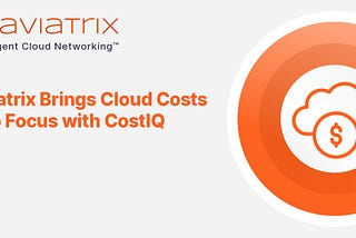 Taking control of public cloud cost