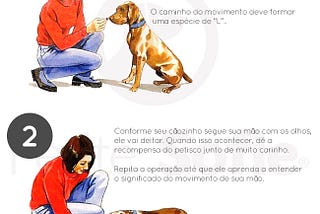 Como Treinar seu Cachorro