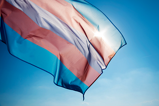 Why Trans People Became the Target of a Changing World