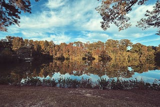 Nature at its finest