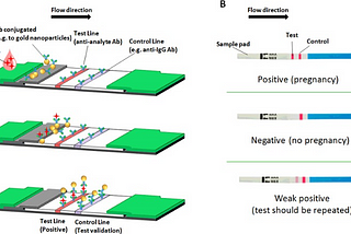 Pregnancy-style tests to detect SARS-CoV-2