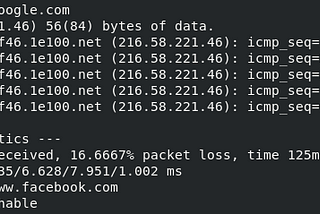 Set access to only specific sites to be pingable and block every other sites in Linux.