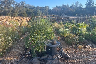 Garden Support Systems