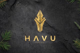 HAVU Gaming vuosikertomus 2019
